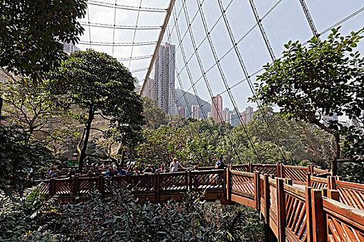 鸟舍,香港公园,地区,中心,香港岛,香港,中国,亚洲
