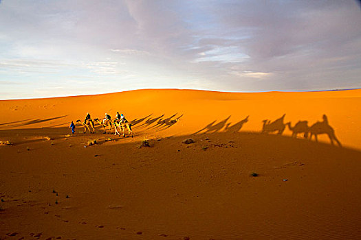 非洲,摩洛哥,塔菲拉勒特,梅如卡,却比沙丘,黄昏,影子,单峰骆驼,骆驼,驼队,柏柏尔人,男人,传统,蓝色,衣服