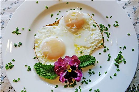 煎鸡蛋,床,早餐,南非