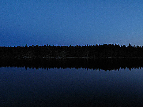 宁和,湖,树林,背景,夜晚