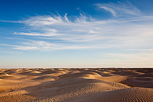 突尼斯,撒哈拉沙漠,杜兹,沙丘,黃昏