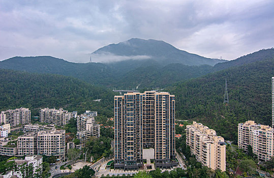 深圳梧桐山森林公园