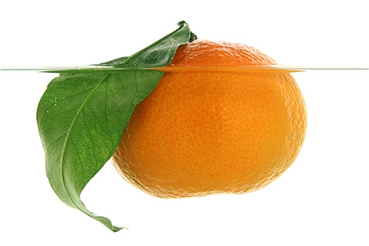 柑橘,水