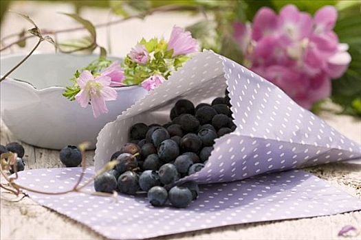 蓝莓,纸袋,锦葵属植物,八仙花属