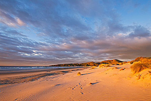 沙子,沙丘,海滩,黎明,胜利,卡特林斯,南岛,新西兰