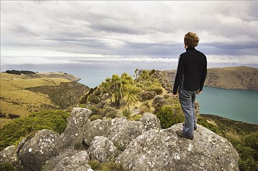 站立,男人,岩石上,堤岸,半岛,新西兰