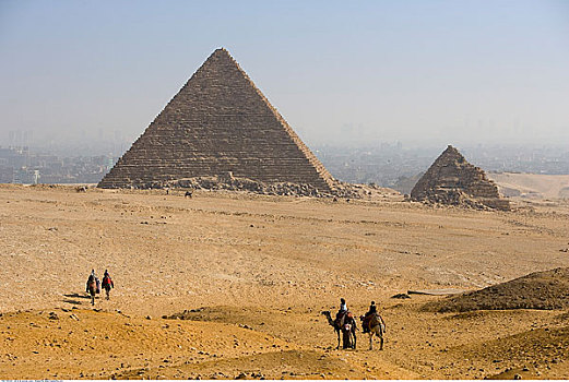 骆驼,沙漠,吉萨金字塔,埃及