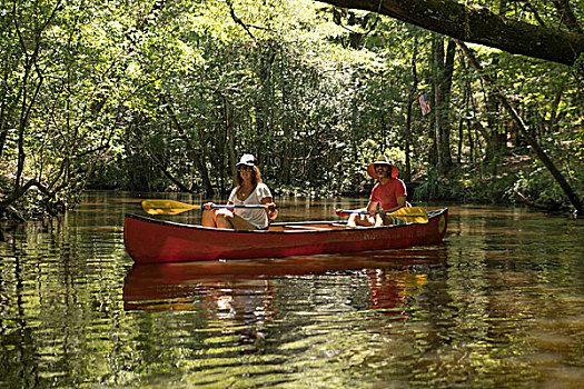 夫妻,独木舟,溪流,佛罗里达,美国