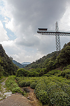 浙江杭州龙坞