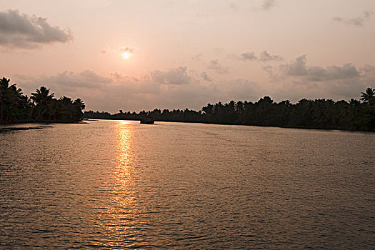 日落,上方,泻湖,地区,喀拉拉,印度
