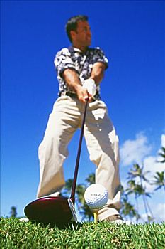 夏威夷,打高尔夫,向上,仰视