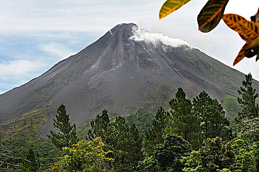 阿雷纳尔,火山,观测,住宿,哥斯达黎加,中美洲