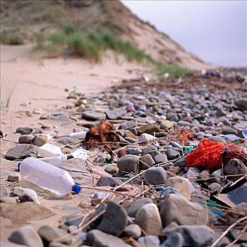 垃圾,海滩