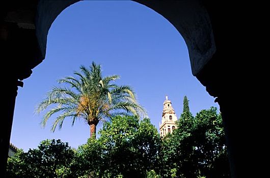 西班牙,安达卢西亚,科多巴,大教堂,清真寺尖塔
