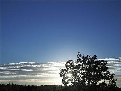 日落,瑞典