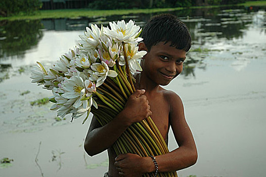 孩子,荷花,孟加拉,九月,2007年