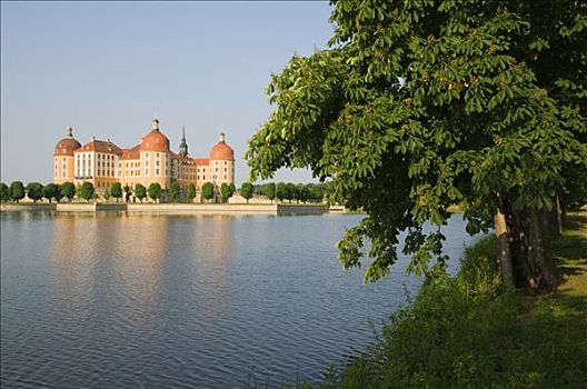 城堡,湖,靠近,德累斯顿,萨克森,德国