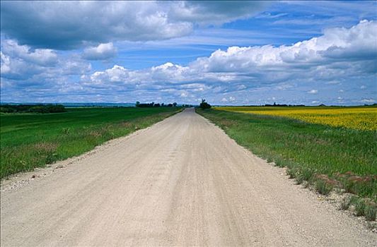 农场,道路,西部,曼尼托巴,加拿大