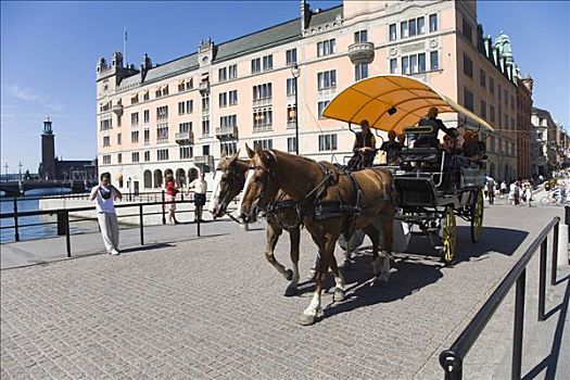 马车,乘,观光,斯德哥尔摩,瑞典,斯堪的纳维亚,欧洲