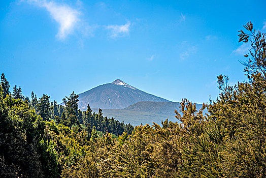 火山,泰德峰,泰德国家公园,公园,特内里费岛,加纳利群岛,西班牙,欧洲