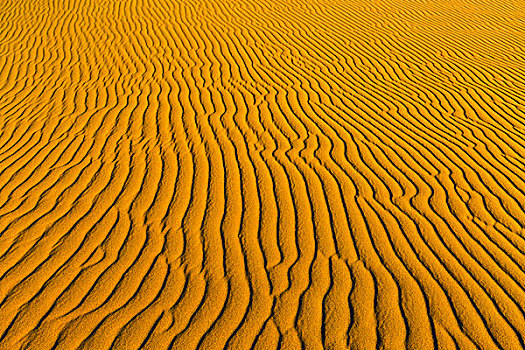 波纹状,沙子,纳米布沙漠,纳米比亚,非洲