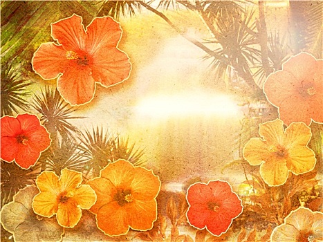 热带花卉,背景