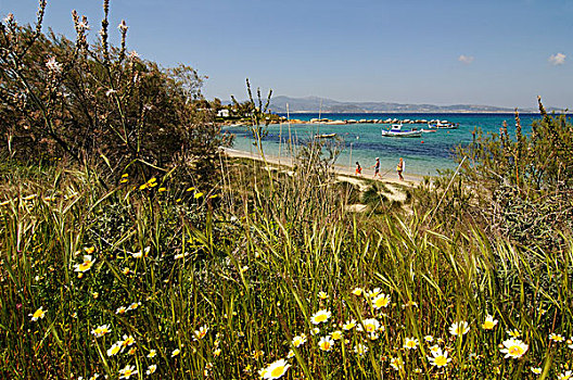 海滩,纳克索斯岛,基克拉迪群岛,希腊,欧洲