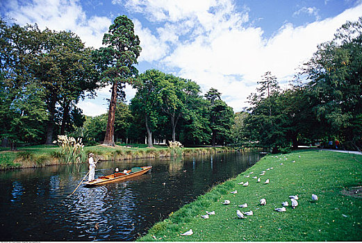 雅芳河,植物园,南岛,新西兰