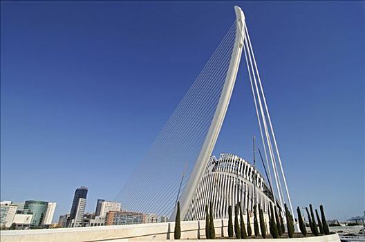 现代,桥,艺术和科学之城,建筑师,圣地亚哥,瓦伦西亚,西班牙,欧洲