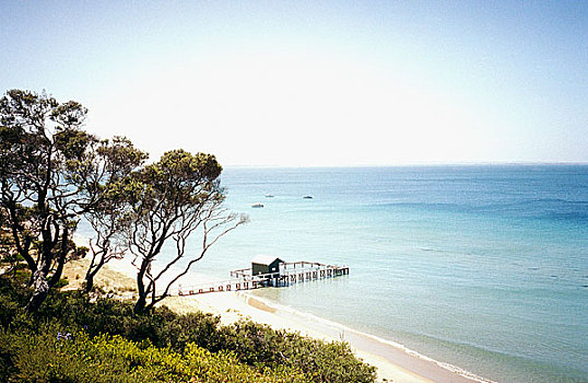 海滩,风景,夏天,港口,湾,墨尔本,澳大利亚