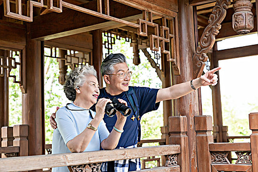 老年夫妻旅游