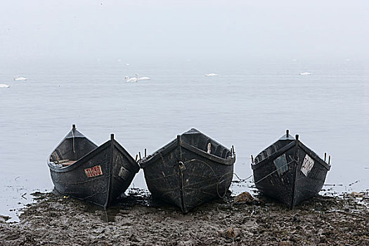 传统,渔船,岸边,多瑙河,雾