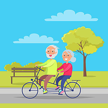 高兴,夫妻,骑,一起,自行车,背景,长椅,绿色,树,城市公园,矢量,插画,退休