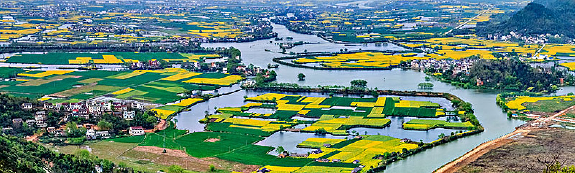 安徽省芜湖市响水涧油菜花田园乡村自然景观