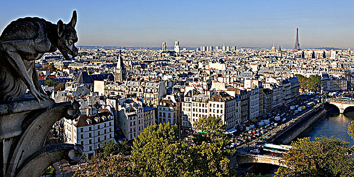 法国,巴黎,全视图,圣母大教堂,滴水兽