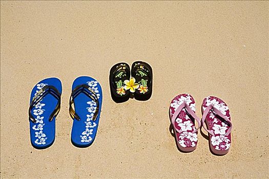 三个,两个,夏威夷,风格,人字拖鞋,白色背景,沙滩,青绿色,海洋,黄色,鸡蛋花