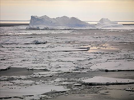 冰山,海岸,富兰克林,岛屿,南极