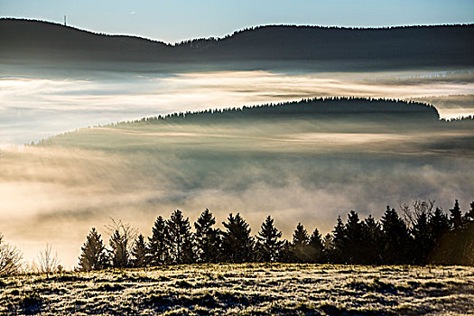 晨雾,山谷,靠近,风景,藻厄兰,北莱茵威斯特伐利亚,德国,欧洲