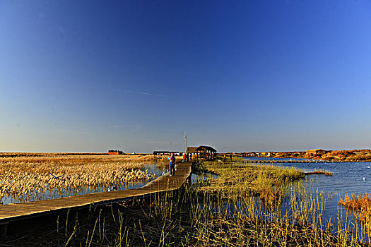 居延海