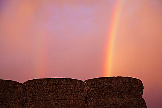 干草堆,彩虹,乌云,日落,维多利亚,澳大利亚