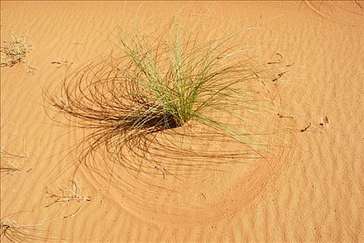 沙子,风,圆,图案,却比沙丘,梅如卡,摩洛哥