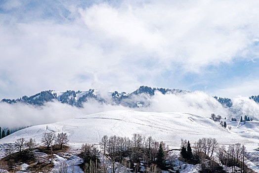 新疆北疆草原上的雪山