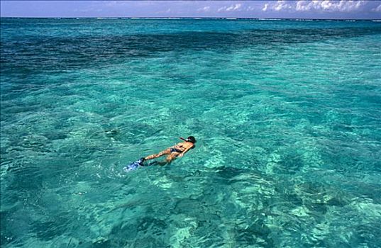 开曼群岛,大开曼岛,朗姆酒,潜水者,享受,清晰,青绿色,水