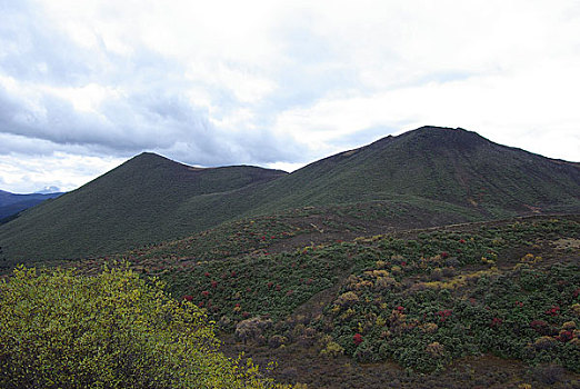 西藏鲁朗林海,南迦巴瓦峰