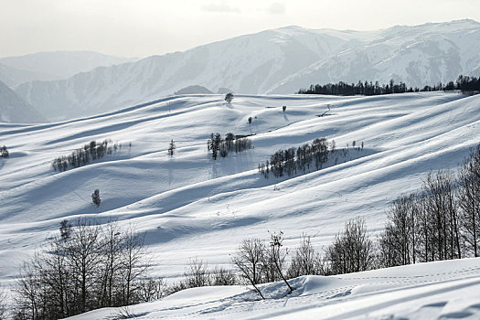 新疆禾木村雪景风光