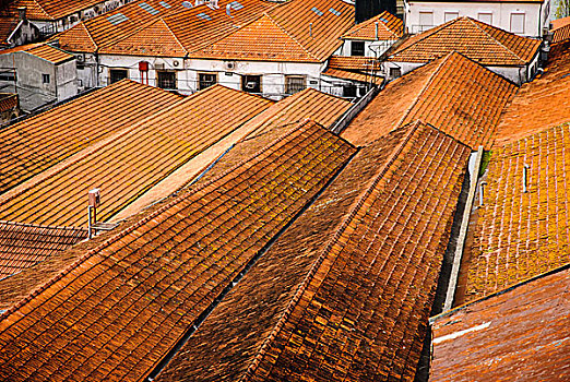 屋顶,波尔图,葡萄牙