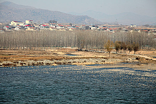 水泡,湖水,乡村,安静,野外,湿地,农村,北方,河流,河道