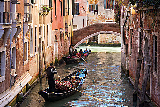 威尼斯,小船,旅游,特色,场景