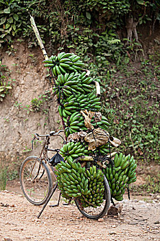 自行车,土路,一堆,香蕉,布隆迪,非洲