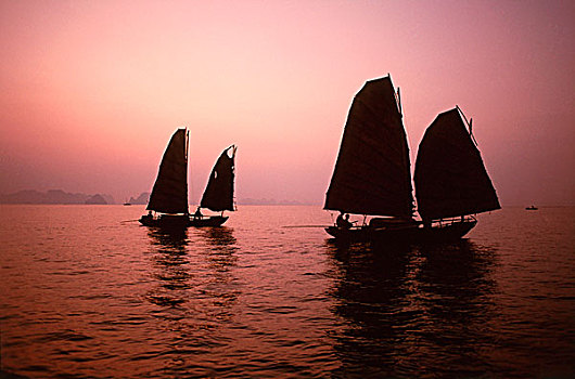 越南,下龙湾,捕鱼,帆船,黎明